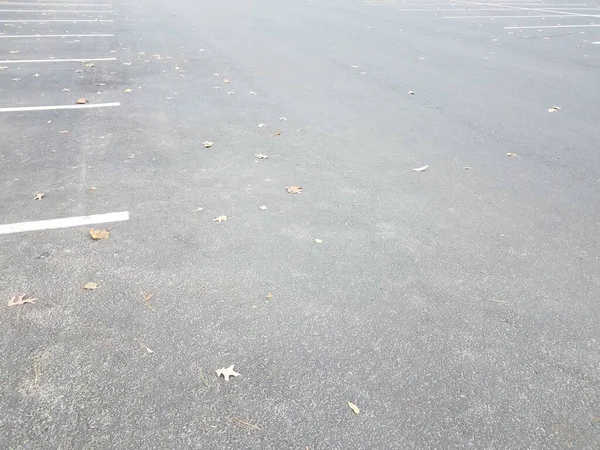 白い線と落ちた茶色の葉の黒いアスファルトの駐車場 — ストック写真