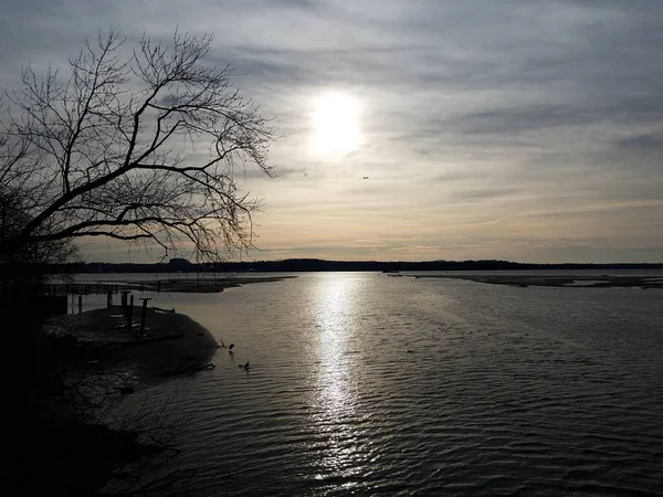 Uccelli Aeroplani Fiume Potomac Durante Alba Tramonto — Foto Stock