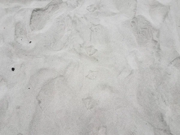 户外干沙滩上的鸟类脚印或脚印 — 图库照片
