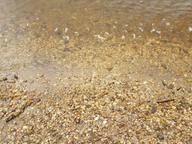 Sahilde su ve taşlar veya çakıl taşları ve deniz kabukları