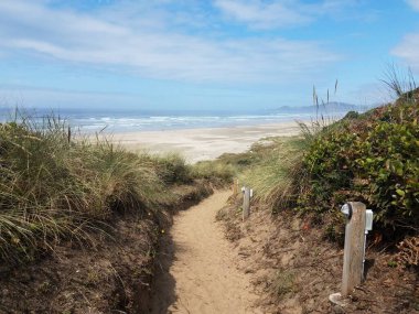 sand trail or path leading down to the beach in Oregon clipart