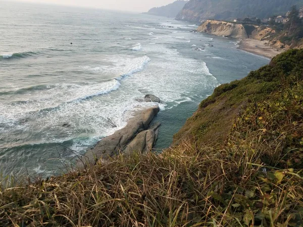 オレゴン州ニューポートの波で植物やビーチや海の水 — ストック写真