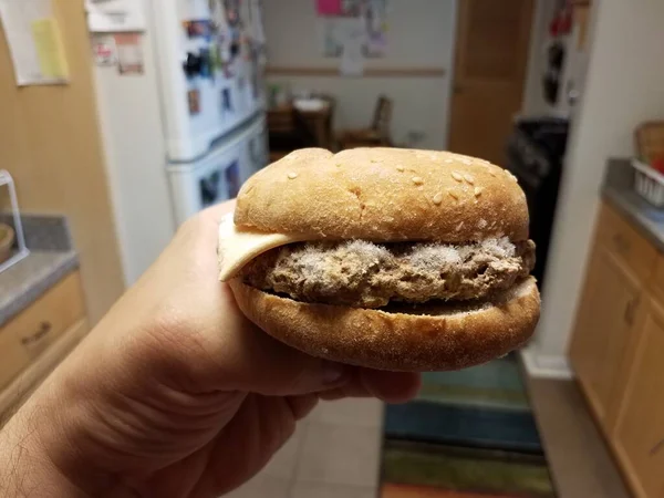 Χέρι κρατώντας κατεψυγμένα cheeseburger με πάγο στην κουζίνα — Φωτογραφία Αρχείου