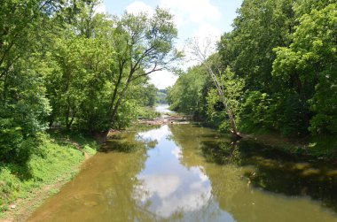 Ağaçları, yeşil yaprakları ve yansımaları olan bir nehir.