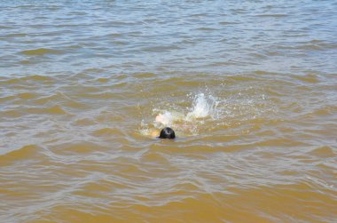 çocuk nehirde ya da okyanusta yüzüyor