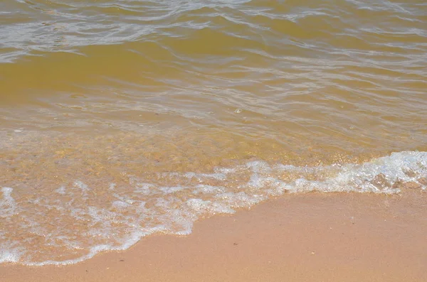 Mokrý písek na pláži s vlnami a mušlemi — Stock fotografie
