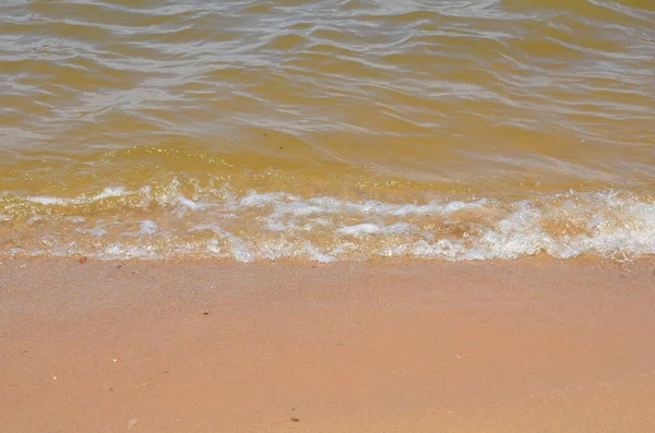 波と貝殻があるビーチの湿った砂 — ストック写真