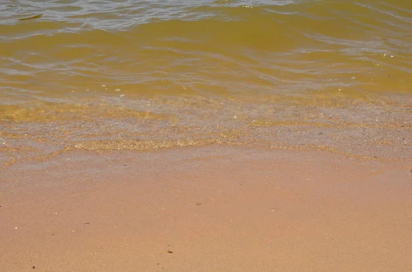 Dalgalar ve deniz kabuklarıyla kumsalda ıslak kum — Stok fotoğraf