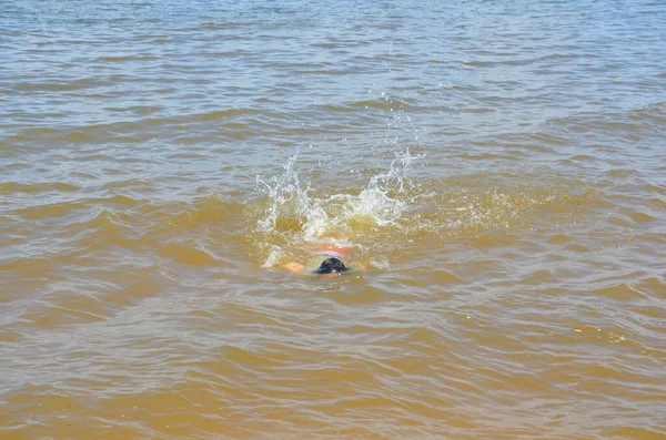 Child swimming in river or ocean water — Stock Photo, Image