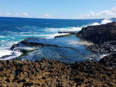 Isabela, Porto Riko 'da okyanus suyu olan kayalık bir sahil.