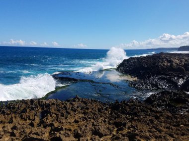 Isabela, Porto Riko 'da okyanus suyu olan kayalık bir sahil.