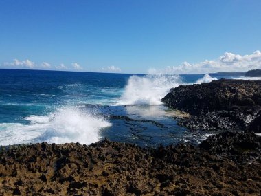 Isabela, Porto Riko 'da okyanus suyu olan kayalık bir sahil.