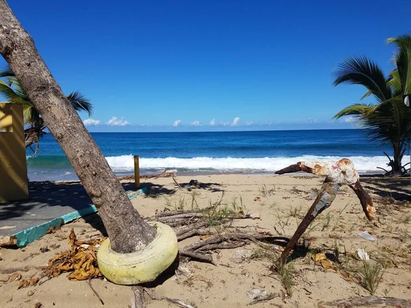Pneumatiky kolem stromu a rezavé kotvy na pláži v Isabela, Puerto Rico — Stock fotografie