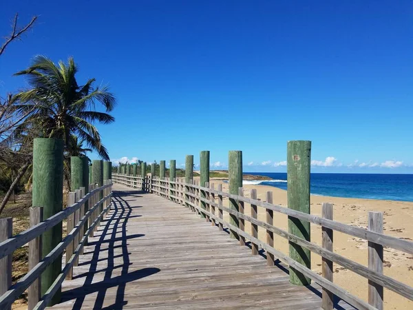Dřevěná promenáda nebo stezka se stromy na pláži v Isabela, Puerto Rico — Stock fotografie