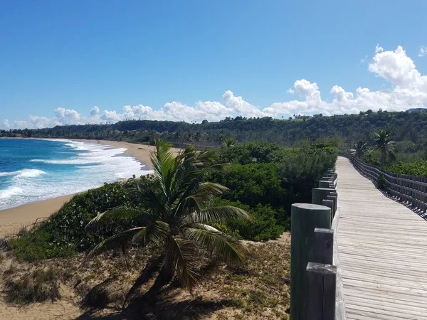 Paseo marítimo de madera o camino con árboles en la playa en Isabela, Puerto Rico —  Fotos de Stock