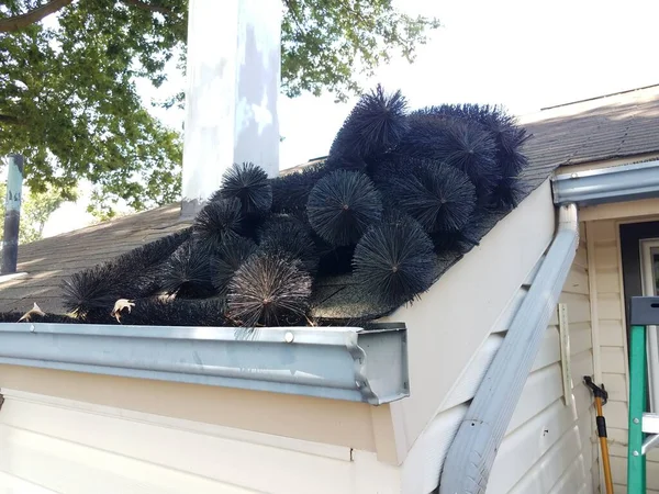 black pipe cleaner and gutter with roof of house