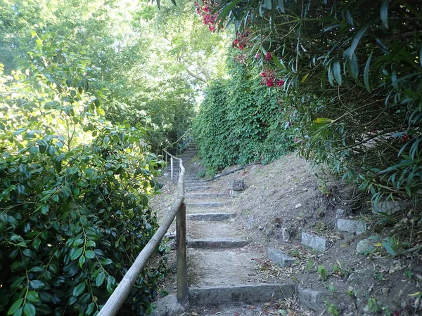 Escalones de piedra o sendero o sendero con barandilla y árboles — Foto de Stock