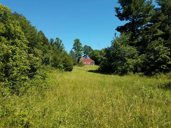 Rood huis en groen grasveld en bomen — Stockfoto
