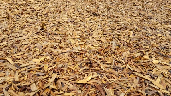 wet brown wood chips or mulch or bark dust on ground