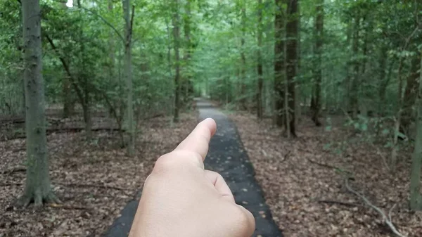 Dedo señalando con sendero de asfalto en bosque o bosque — Foto de Stock