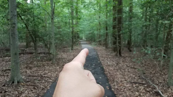 Jari menunjuk dengan aspal jejak di hutan atau hutan — Stok Foto