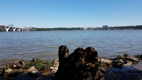 Toco de árvore e rochas e rio e Porto Nacional e Wilson Bridge — Fotografia de Stock