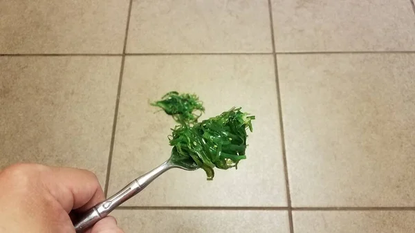 Hand hält Gabel mit grünem Algengemüse auf Boden verschüttet — Stockfoto
