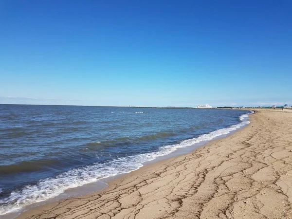 Algas en la playa con arena y agua y ferry en Delaware —  Fotos de Stock