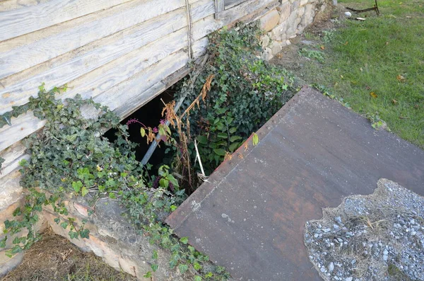 Cubierta de metal en la entrada del sótano en ruinas con plantas — Foto de Stock