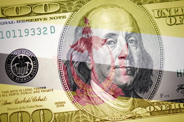 Barevná Vlajka Bruneje Americký Dolar Peníze Pozadí — Stock fotografie