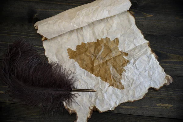 Mappa di bosnia ed erbe su carta vintage con vecchia penna sulla scrivania in legno — Foto Stock