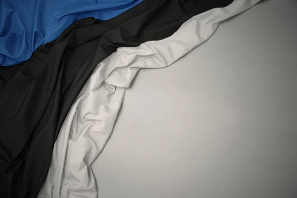 Махаючи національним прапором естонії на сірому фоні . — стокове фото