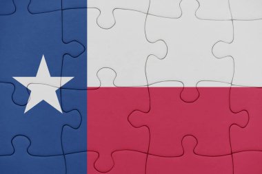 texas Devlet bayrağı ile bulmaca.