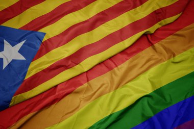 renkli gay gökkuşağı bayrağı ve katalonya ulusal bayrağı sallayarak.