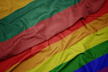 renkli gay gökkuşağı bayrağı ve litvanya ulusal bayrağı sallayarak.