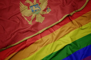 renkli gay gökkuşağı bayrağı ve karadağ ulusal bayrağı sallayarak.