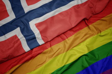 renkli gay gökkuşağı bayrağı ve norveç ulusal bayrağı sallayarak.