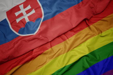 renkli gay gökkuşağı bayrağı ve slovakya ulusal bayrağı sallayarak.