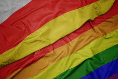 renkli gay gökkuşağı bayrağı ve güney osetya ulusal bayrağı sallayarak.
