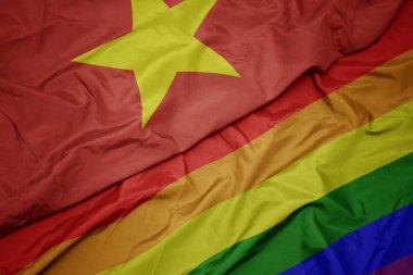 renkli gay gökkuşağı bayrağı ve vietnam ulusal bayrak sallayarak.