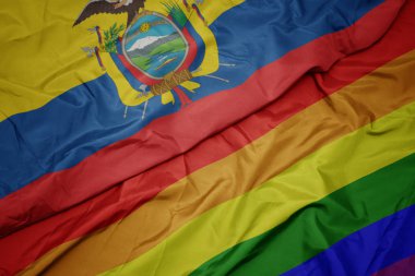 renkli gay gökkuşağı bayrağı ve ekvador ulusal bayrak sallayarak.