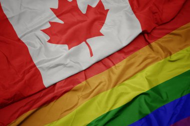 renkli gay gökkuşağı bayrağı ve kanada ulusal bayrağı sallayarak.