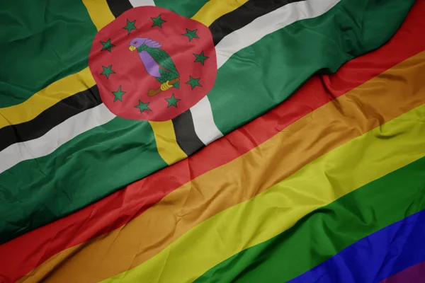 Waving colorful gay rainbow flag and national flag of dominica. — Stock Photo, Image