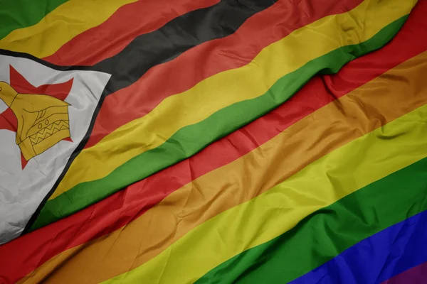 Ondeando colorido arco iris gay bandera y bandera nacional de zimbabwe . — Foto de Stock