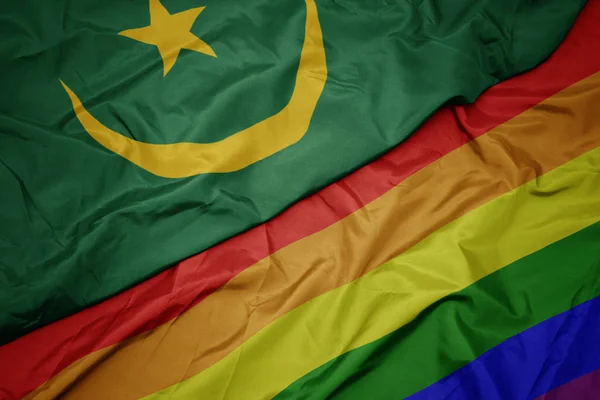 挥舞着五颜六色的同性恋彩虹旗和毛里塔尼亚国旗. — 图库照片