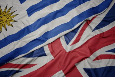büyük Britanya ve uruguay ulusal bayrağı renkli bayrak sallayarak.
