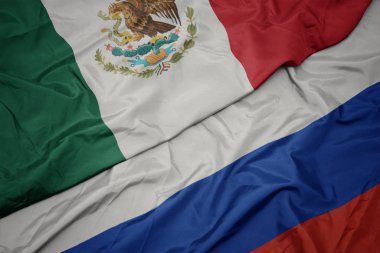 Rusya ve Meksika ulusal bayrağı renkli bayrak sallayarak.