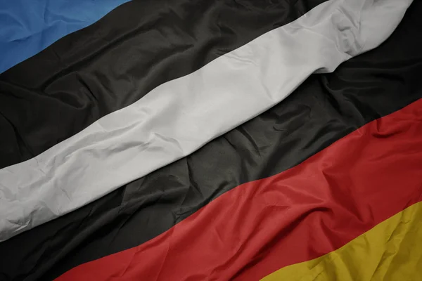 Agitant le drapeau coloré de l'Allemagne et le drapeau national de l'Estonie . — Photo
