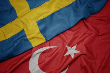 Türkiye'nin renkli bayrağını ve İsveç'in ulusal bayrağını sallıyor.