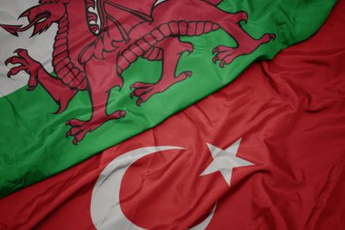 türkiye ve galler ulusal bayrağı renkli bayrak sallayarak.